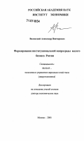 Виленский, Александр Викторович. Формирование институциональной макросреды малого бизнеса России: дис. доктор экономических наук: 08.00.05 - Экономика и управление народным хозяйством: теория управления экономическими системами; макроэкономика; экономика, организация и управление предприятиями, отраслями, комплексами; управление инновациями; региональная экономика; логистика; экономика труда. Москва. 2006. 364 с.