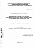 Шерниязова, Виктория Викторовна. Формирование конфликтологической компетентности будущих специалистов в вузе как основа профессиональной адаптации: дис. кандидат педагогических наук: 13.00.08 - Теория и методика профессионального образования. Челябинск. 2011. 182 с.