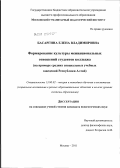 Басаргина, Елена Владимировна. Формирование культуры межнациональных отношений студентов колледжа: на примере средних специальных учебных заведений Республики Алтай: дис. кандидат педагогических наук: 13.00.02 - Теория и методика обучения и воспитания (по областям и уровням образования). Москва. 2011. 232 с.