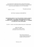 Лютова, Надежда Ильинична. Формирование культуры профессионального общения у будущих менеджеров в сфере туризма и гостиничного хозяйства в условиях вузовского образования: дис. кандидат педагогических наук: 13.00.08 - Теория и методика профессионального образования. Чебоксары. 2010. 203 с.