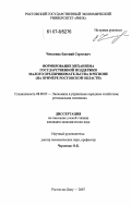 Чмеленко, Евгений Сергеевич. Формирование механизма государственной поддержки малого предпринимательства в регионе: на примере Ростовской области: дис. кандидат экономических наук: 08.00.05 - Экономика и управление народным хозяйством: теория управления экономическими системами; макроэкономика; экономика, организация и управление предприятиями, отраслями, комплексами; управление инновациями; региональная экономика; логистика; экономика труда. Ростов-на-Дону. 2007. 159 с.