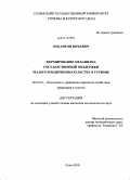 Юц, Антон Юрьевич. Формирование механизма государственной поддержки малого предпринимательства в туризме: дис. кандидат экономических наук: 08.00.05 - Экономика и управление народным хозяйством: теория управления экономическими системами; макроэкономика; экономика, организация и управление предприятиями, отраслями, комплексами; управление инновациями; региональная экономика; логистика; экономика труда. Сочи. 2010. 181 с.