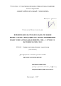 Остыловская Оксана Анатольевна. Формирование научно-исследовательской компетентности будущих бакалавров направления подготовки «Прикладная информатика»в процессе обучения математике: дис. кандидат наук: 13.00.02 - Теория и методика обучения и воспитания (по областям и уровням образования). ФГАОУ ВО «Сибирский федеральный университет». 2017. 230 с.