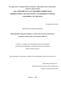 Югай Константин Владимирович. Формирование навыков борьбы за захват как базового компонента технико-тактической подготовки самбистов: дис. кандидат наук: 13.00.04 - Теория и методика физического воспитания, спортивной тренировки, оздоровительной и адаптивной физической культуры. ФГБОУ ВО «Российский государственный университет физической культуры, спорта, молодежи и туризма (ГЦОЛИФК)». 2020. 172 с.
