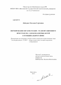 Лебедева, Татьяна Сергеевна. Формирование образовательно-реабилитационного пространства для безнадзорных детей в муниципальном районе: дис. кандидат педагогических наук: 13.00.01 - Общая педагогика, история педагогики и образования. Ярославль. 2013. 222 с.