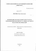 Чекунова, Елена Анатольевна. Формирование образовательного пространства современной школы в контексте социокультурных и педагогических инноваций: дис. доктор педагогических наук: 13.00.01 - Общая педагогика, история педагогики и образования. Ставрополь. 2012. 592 с.