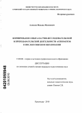 Алексов, Михаил Матвеевич. Формирование опыта научно-исследовательской и преподавательской деятельности аспирантов в послевузовском образовании: дис. кандидат педагогических наук: 13.00.08 - Теория и методика профессионального образования. Краснодар. 2010. 239 с.