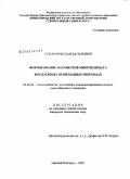 Сухов, Вячеслав Васильевич. Формирование параметров микроклимата в подземных пешеходных переходах: дис. кандидат технических наук: 05.23.03 - Теплоснабжение, вентиляция, кондиционирование воздуха, газоснабжение и освещение. Нижний Новгород. 2009. 194 с.
