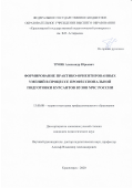 Трояк Александр Юрьевич. "Формирование практико-ориентированных умений в процессе профессиональной подготовки курсантов вузов МЧС России": дис. кандидат наук: 13.00.08 - Теория и методика профессионального образования. ФГБОУ ВО «Красноярский государственный педагогический университет им. В.П. Астафьева». 2020. 195 с.