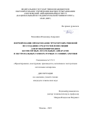 Маскайкин Владимир Андреевич. Формирование проектно-конструкторских решений по созданию средств теплоизоляции для функционирования беспилотных летательных аппаратов в экстремальных температурных условиях Арктики: дис. кандидат наук: 00.00.00 - Другие cпециальности. ФГБОУ ВО «Московский авиационный институт (национальный исследовательский университет)». 2023. 137 с.