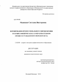 Манецкая, Светлана Викторовна. Формирование профессионального мировоззрения будущих офицеров запаса в образовательном процессе гражданского морского вуза: дис. кандидат педагогических наук: 13.00.08 - Теория и методика профессионального образования. Великий Новгород. 2012. 258 с.