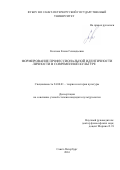 Козлова Елена Геннадьевна. Формирование профессиональной идентичности личности в современной культуре: дис. кандидат наук: 24.00.01 - Теория и история культуры. ФГБОУ ВО «Санкт-Петербургский государственный университет». 2016. 183 с.