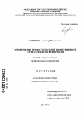 Сорокин, Александр Витальевич. Формирование профессиональной компетентности слушателей вузов ФСИН России: дис. кандидат педагогических наук: 13.00.08 - Теория и методика профессионального образования. Шуя. 2012. 169 с.