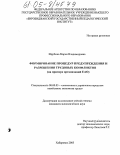 Щербина, Мария Владимировна. Формирование процедур предупреждения и разрешения трудовых конфликтов: На примере организаций ЕАО: дис. кандидат экономических наук: 08.00.05 - Экономика и управление народным хозяйством: теория управления экономическими системами; макроэкономика; экономика, организация и управление предприятиями, отраслями, комплексами; управление инновациями; региональная экономика; логистика; экономика труда. Хабаровск. 2005. 146 с.