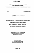 Долбня, Елена Анатольевна. Формирование рациональной структуры внешней торговли региона в условиях ее либерализации: на примере Кемеровской области: дис. кандидат экономических наук: 08.00.05 - Экономика и управление народным хозяйством: теория управления экономическими системами; макроэкономика; экономика, организация и управление предприятиями, отраслями, комплексами; управление инновациями; региональная экономика; логистика; экономика труда. Кемерово. 2007. 208 с.
