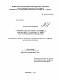 Трукова, Алена Ивановна. Формирование ресурсного потенциала регионального развития в условиях экономической нестабильности: дис. кандидат экономических наук: 08.00.05 - Экономика и управление народным хозяйством: теория управления экономическими системами; макроэкономика; экономика, организация и управление предприятиями, отраслями, комплексами; управление инновациями; региональная экономика; логистика; экономика труда. Чебоксары. 2010. 184 с.