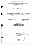 Куракина, Любовь Юрьевна. Формирование рынка труда в аграрном секторе Новгородской области: дис. кандидат экономических наук: 08.00.05 - Экономика и управление народным хозяйством: теория управления экономическими системами; макроэкономика; экономика, организация и управление предприятиями, отраслями, комплексами; управление инновациями; региональная экономика; логистика; экономика труда. Новгород. 1998. 200 с.