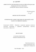 Ниязов, Сергей Харисович. Формирование саморегулируемых организаций в сфере малого гостиничного бизнеса: дис. кандидат экономических наук: 08.00.05 - Экономика и управление народным хозяйством: теория управления экономическими системами; макроэкономика; экономика, организация и управление предприятиями, отраслями, комплексами; управление инновациями; региональная экономика; логистика; экономика труда. Санкт-Петербург. 2012. 205 с.
