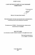 Шелест, Ксения Дмитриевна. Формирование системы экологического менеджмента в морских портах Балтийского региона: дис. кандидат географических наук: 25.00.24 - Экономическая, социальная и политическая география. Санкт-Петербург. 2007. 181 с.