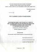 Мустафиева, Елена Фанильевна. Формирование системы кассового обслуживания исполнения бюджетов муниципальных образований Ставропольского края: дис. кандидат экономических наук: 08.00.10 - Финансы, денежное обращение и кредит. Ставрополь. 2009. 261 с.