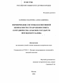 Карпенко, Екатерина Александровна. Формирование системы коллективной безопасности стран-членов Совета сотрудничества арабских государств Персидского залива: дис. кандидат исторических наук: 07.00.15 - История международных отношений и внешней политики. Москва. 2006. 204 с.