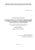 Лыкова Ксения Геннадьевна. Формирование стохастического мировоззрения старшеклассников в условиях цифровизации математического образования: дис. кандидат наук: 13.00.02 - Теория и методика обучения и воспитания (по областям и уровням образования). ФГБОУ ВО «Московский государственный университет имени М.В. Ломоносова». 2022. 163 с.