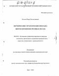 Костюк, Игорь Ростиславович. Формирование стратегических программ энергосбережения в регионах России: дис. кандидат экономических наук: 08.00.05 - Экономика и управление народным хозяйством: теория управления экономическими системами; макроэкономика; экономика, организация и управление предприятиями, отраслями, комплексами; управление инновациями; региональная экономика; логистика; экономика труда. Орел. 2003. 201 с.