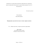 Масленникова Оксана Валериевна. Формирование стратегий смыслового чтения старшеклассников: дис. кандидат наук: 00.00.00 - Другие cпециальности. ФГБОУ ВО «Смоленский государственный университет». 2025. 279 с.