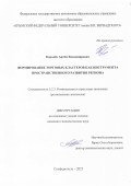 Королёв Артём Владимирович. Формирование торговых кластеров как инструмента пространственного развития региона: дис. кандидат наук: 00.00.00 - Другие cпециальности. «Крымский федеральный университет имени В.И. Вернадского». 2026. 257 с.