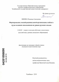 Викина, Надежда Алексеевна. Формирование умений рациональной организации учебного труда младших школьников на уроках русского языка: дис. кандидат педагогических наук: 13.00.02 - Теория и методика обучения и воспитания (по областям и уровням образования). Челябинск. 2010. 232 с.
