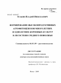 Еськин, Владий Николаевич. Формирование высокопродуктивных агрофитоценозов многолетних и однолетних кормовых культур в лесостепи Среднего Поволжья: дис. доктор сельскохозяйственных наук: 06.01.09 - Растениеводство. Пенза. 2009. 329 с.