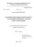 Костюк, Светлана Викторовна. Фрагменты рибосомных генов человека в составе внеклеточной ДНК: факторы стресс-сигнализации: дис. кандидат биологических наук: 03.00.15 - Генетика. Москва. 2007. 136 с.