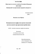 Маликова, Алла Рифовна. Функциональная морфология органов иммунной системы цыплят при применении пробиотиков: дис. кандидат биологических наук: 16.00.02 - Патология, онкология и морфология животных. Уфа. 2007. 125 с.