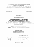 Курилин, Василий Васильевич. Функциональное состояние фагоцитирующих клеток при Candida albicans-индуцированном гранулематозном воспалении у мышей разных линий: дис. кандидат медицинских наук: 14.00.16 - Патологическая физиология. Новосибирск. 2005. 142 с.
