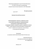 Беженцев, Евгений Владиславович. Функционирование тюрксих и славянских языков в полиэтничном пространстве Тюменской области: этноязыковая государственная политика: на примере татарского, казахского, русского, украинского языков: дис. кандидат филологических наук: 10.02.02 - Языки народов Российской Федерации (с указанием конкретного языка или языковой семьи). Тобольск. 2011. 213 с.