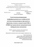 Уварова, Татьяна Александровна. Генетическая детерминация морфофункциональных особенностей системы мононуклеарных фагоцитов и паренхимы печени у мышей линий СВА и С57В1/6 при хроническом гранулематозном туберкулезном воспалении: дис. кандидат медицинских наук: 03.00.25 - Гистология, цитология, клеточная биология. Новосибирск. 2005. 143 с.