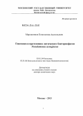Мирошников, Константин Анатольевич. Геномика и протеомика литических бактериофагов Pseudomonas aeruginosa: дис. доктор химических наук: 03.01.04 - Биохимия. Москва. 2013. 234 с.