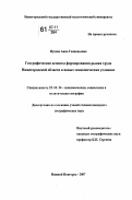 Пухова, Анна Геннадьевна. Географические аспекты формирования рынка труда Нижегородской области в новых экономических условиях: дис. кандидат географических наук: 25.00.24 - Экономическая, социальная и политическая география. Нижний Новгород. 2007. 221 с.