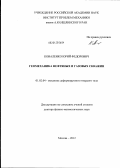 Коваленко, Юрий Федорович. Геомеханика нефтяных и газовых скважин: дис. доктор физико-математических наук: 01.02.04 - Механика деформируемого твердого тела. Москва. 2012. 314 с.