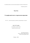 Пьяе Пьо. Гетерофазный синтез гидроксидов циркония: дис. кандидат наук: 05.17.02 - Технология редких, рассеянных и радиоактивных элементов. ФГБОУ ВО «Российский химико-технологический университет имени Д.И. Менделеева». 2021. 145 с.