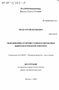Якуш, Сергей Евгеньевич. Гидродинамика и горение газовых и двухфазных выбросов в открытой атмосфере: дис. доктор физико-математических наук: 01.02.05 - Механика жидкости, газа и плазмы. Москва. 2000. 337 с.