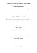 Храмцов Михаил Александрович. Голографическое описание топологических дефектов и термализация сильновзаимодействующих квантовых систем: дис. кандидат наук: 01.04.02 - Теоретическая физика. ФГБУН Математический институт им. В.А. Стеклова Российской академии наук. 2019. 185 с.