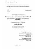 Трошин, Пётр Владимирович. Идентификация и изучение генов Escherichia coli, участвующих в экскреции гомосерина и треонина: дис. кандидат биологических наук: 03.00.15 - Генетика. Москва. 2002. 157 с.