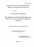 Высоцкий, Денис Александрович. Идентификация в растении Thellungiella salsuginea генов TsABF и Ts14-3-3, анализ взаимодействия кодируемых ими белков: дис. кандидат биологических наук: 03.01.06 - Биотехнология (в том числе бионанотехнологии). Москва. 2013. 112 с.