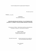 Панцерев, Константин Арсеньевич. Информационная политика стран Тропической Африки в условиях глобализации мирового порядка: дис. доктор политических наук: 23.00.04 - Политические проблемы международных отношений и глобального развития. Санкт-Петербург. 2011. 501 с.