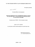 Кузнецов, Павел Александрович. Информационная среда провинциального города России 1860-1890 гг.: на материалах Пензенской и Казанской губерний: дис. кандидат исторических наук: 07.00.02 - Отечественная история. Пенза. 2010. 252 с.