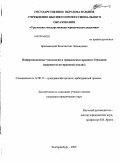 Брановицкий, Константин Леонидович. Информационные технологии в гражданском процессе Германии: сравнительно-правовой анализ: дис. кандидат юридических наук: 12.00.15 - Гражданский процесс; арбитражный процесс. Екатеринбург. 2009. 225 с.