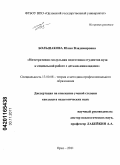 Большакова, Юлия Владимировна. Интегративно-модульная подготовка студентов вуза к социальной работе с детьми - инвалидами: дис. кандидат педагогических наук: 13.00.08 - Теория и методика профессионального образования. Орел. 2011. 285 с.
