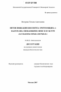 Мичурина, Татьяна Анатольевна. Интенсификация биосинтеза эритромицина А факторами, снижающими лизис в культуре Saccharopolyspora erythraea: дис. кандидат биологических наук: 03.00.23 - Биотехнология. Москва. 2007. 159 с.