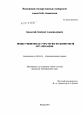 Бродский, Дмитрий Александрович. Инвестиционная стратегия холдинговой организации: дис. кандидат экономических наук: 08.00.01 - Экономическая теория. Москва. 2010. 140 с.